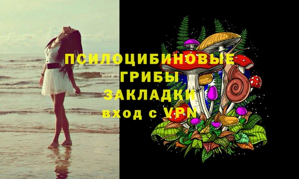 гидропоника Заводоуковск