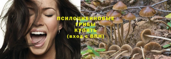 Альфа ПВП Заволжск