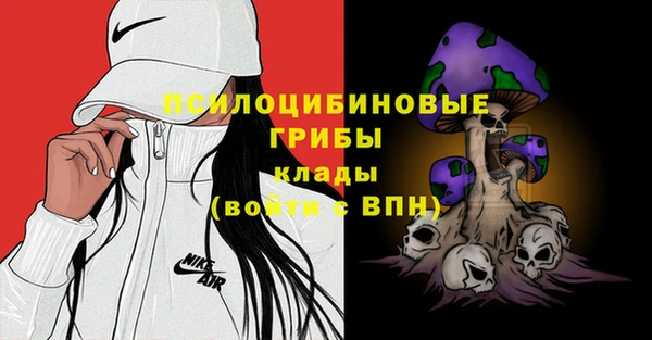 Альфа ПВП Заволжск