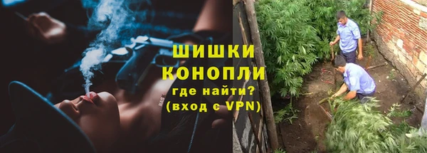 гидропоника Заводоуковск