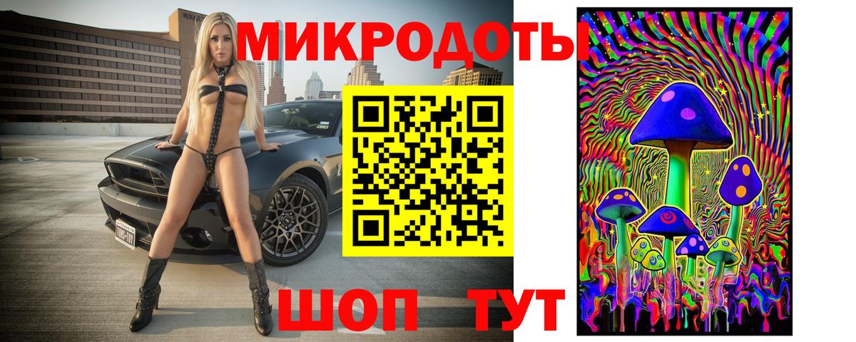 Псилоцибиновые грибы Psilocybine cubensis Копейск