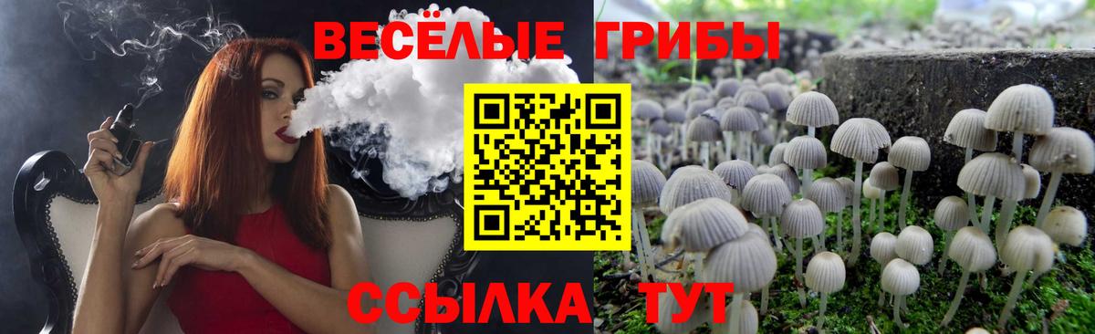 Копейск  Псилоцибиновые грибы ЛСД  Вход с VPN 